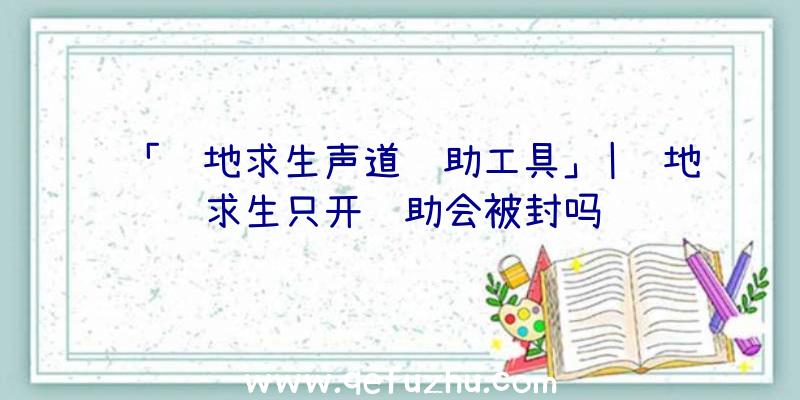 「绝地求生声道辅助工具」|绝地求生只开辅助会被封吗